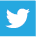 The twitter logo is a white bird on a blue background.